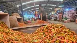 Harga Cabai Merah Kian Pedas, Nyaris Tembus Rp 60 Ribu per Kilogram