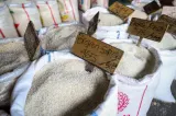 Cara Menyiasati Kenaikan Harga Beras Saat Berbelanja di Pasar Tradisional