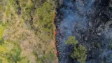 Kebakaran Hutan Gunung Bromo Diduga Dipicu Perapian Pelintas di Blok Bantengan-Jantur