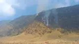 Kebakaran Meluas di Kaldera, Seluruh Akses Wisata Gunung Bromo Ditutup Total