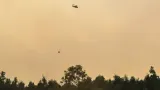 Penanganan Kebakaran Hutan dan Lahan Gambut di Pulang Pisau