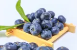 Cara Menyimpan Blueberry agar Tetap Segar dan Bebas Jamur