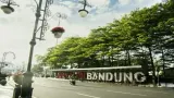 Aturan Penebangan Pohon di Kota Bandung, Prosedur Resmi dan Sanksi Pelanggaran