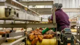 PMI Manufaktur Indonesia Juli 2026 Tembus Level Ekspansi, Apa Saja Catatan Penting Kadin?