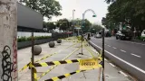 Cara Menghindari Denda dan Sanksi Penebangan Pohon di Kota Bandung