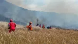 Kebakaran Hutan Gunung Bromo Belum Padam, TNI Angkatan Laut Turun Tangan