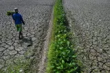 Antisipasi dan Mitigasi Dampak Krisis Air Bersih Sepanjang Musim Kemarau 2026