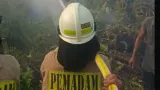 Kebakaran Lahan Dekat Stasiun Kampung Bandan Diduga Akibat Puntung Rokok, Perjalanan KRL Terganggu