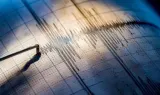 Gempa Magnitudo 5,6 Guncang Barat Laut Halmahera Barat, BMKG Pastikan Tidak Berpotensi Tsunami