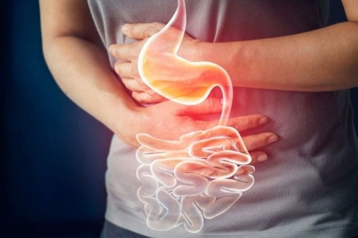 Sering susah BAB setelah makan daging kambing/sapi saat Idul Adha? Dokter ungkap penyebab konstipasi dan cara mengatasinya dengan buah, sayur, dan pola makan tepat